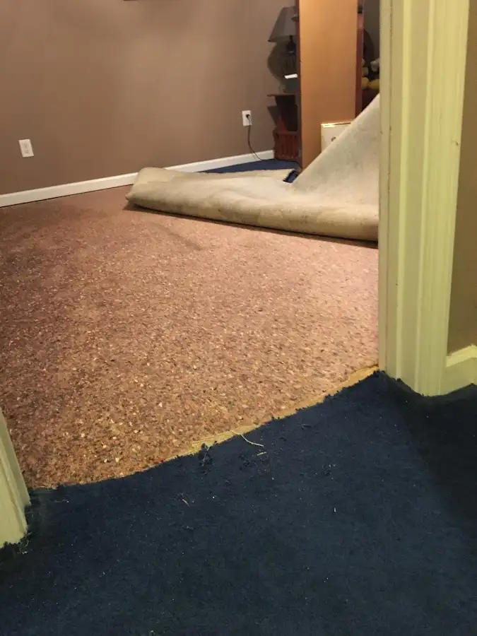 Carpet pad removal revealing water damage during Water Mitigation Services in Parma Heights